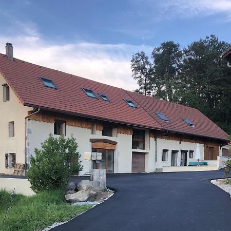 Saint-Martin-BellevueT4 Meuble De 105M2 Axe Annecy-Geneveアパートメント エクステリア 写真