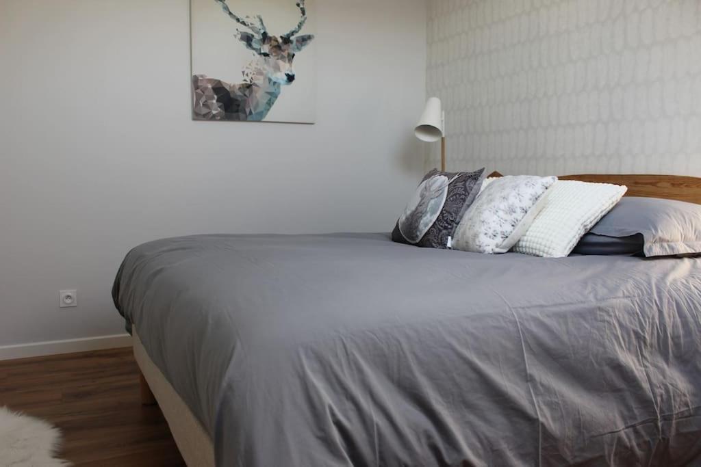 Saint-Martin-BellevueT4 Meuble De 105M2 Axe Annecy-Geneveアパートメント エクステリア 写真