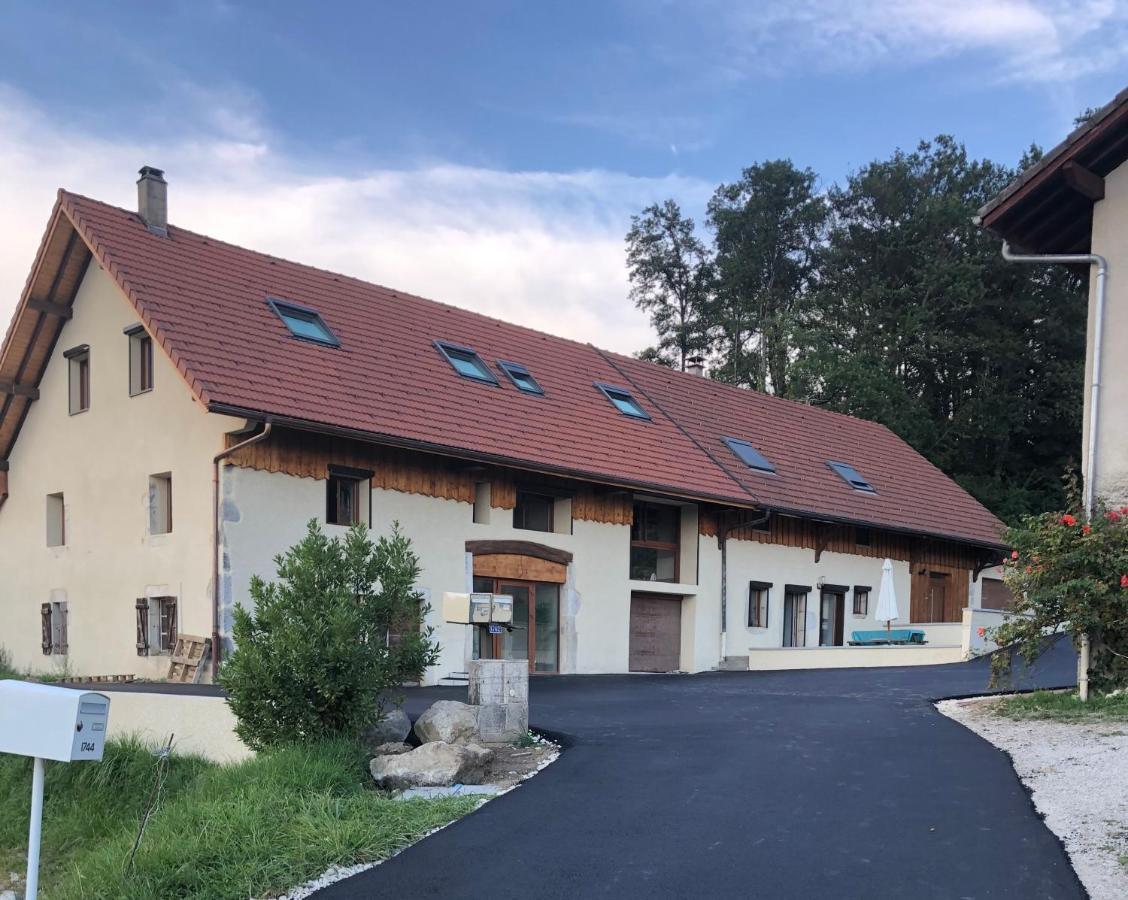 Saint-Martin-BellevueT4 Meuble De 105M2 Axe Annecy-Geneveアパートメント エクステリア 写真